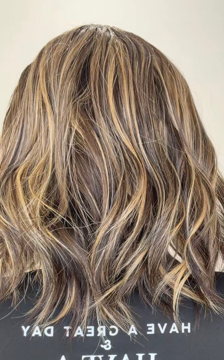 Short Sunlit Chestnut